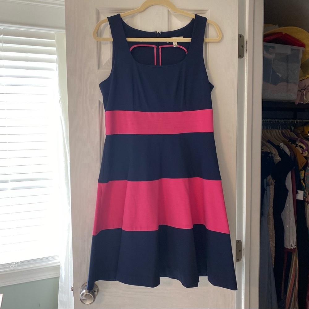 Banana Republic Blue/Pink Color-block Dress